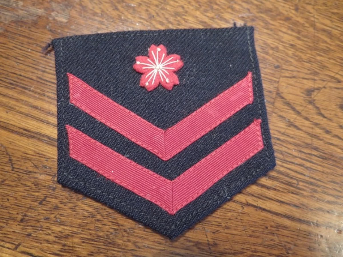 Japan Maritime Self-Defense Force Patch used