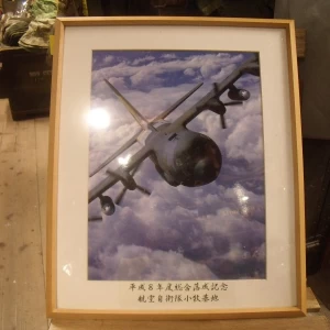 JAPAN AIR SELF-DEFENSE FORCE Photo&Frame