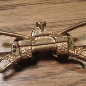 U.S.ARMY insignia used?