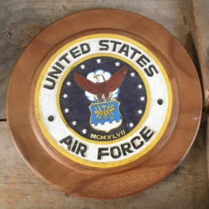 U.S.AIR FORCE Plaque used