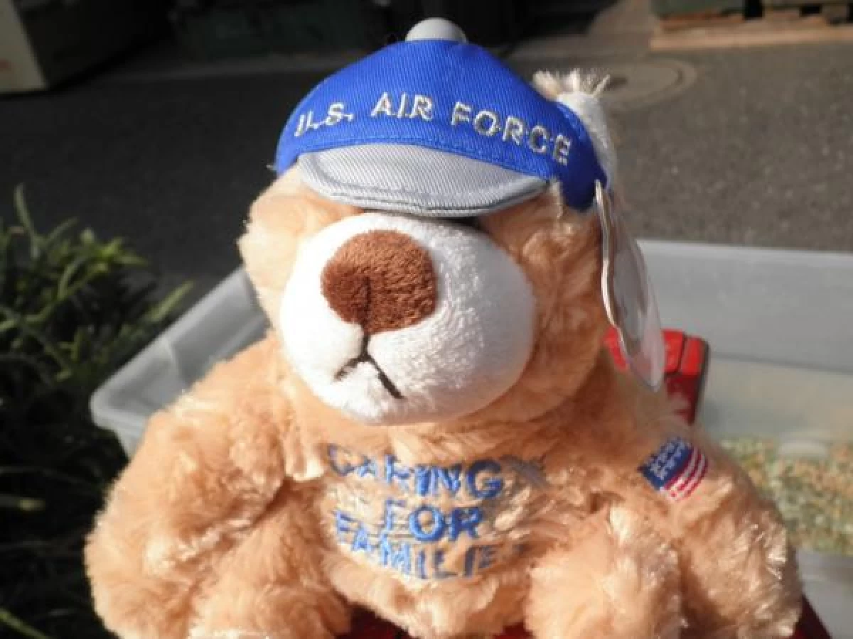 U.S.AIR FORCE Bear 2009/2010