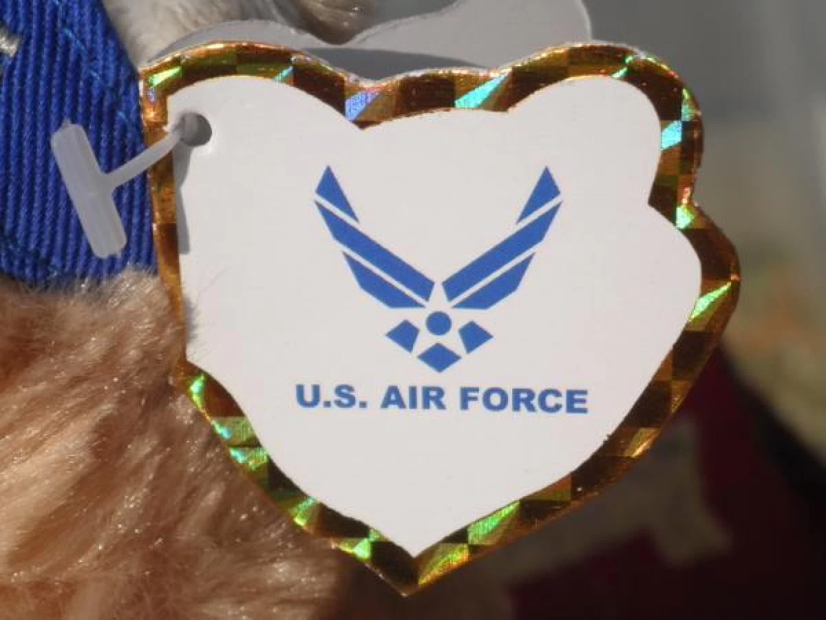 U.S.AIR FORCE Bear 2009/2010